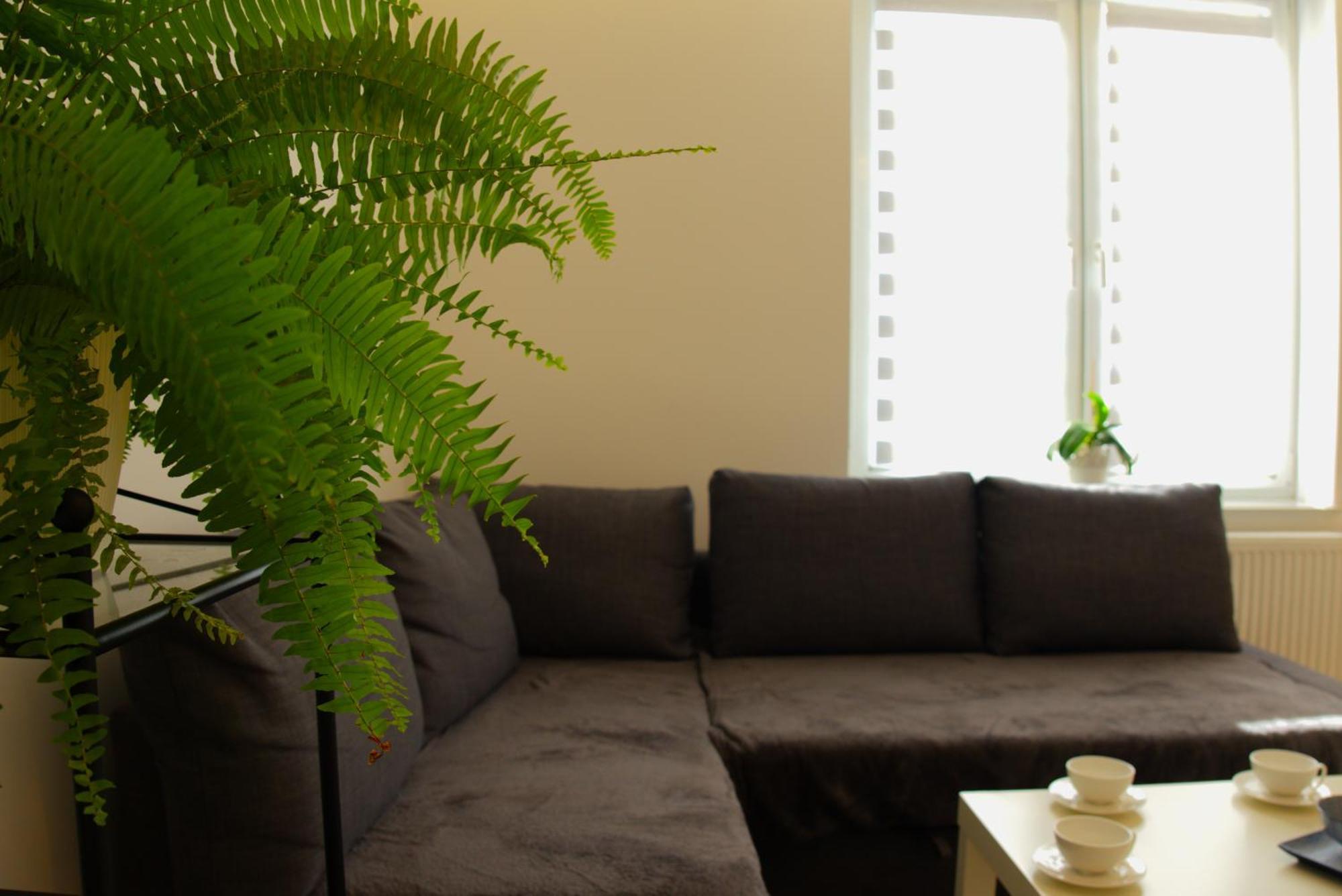 Apartament Centrum Rynek Boleslawiec  Extérieur photo